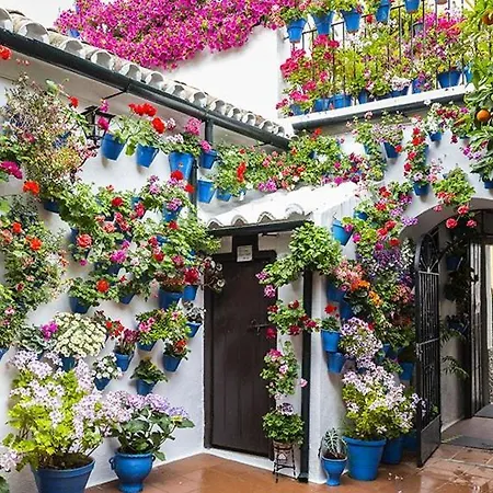 Hacienda Miraflores * Cordoba